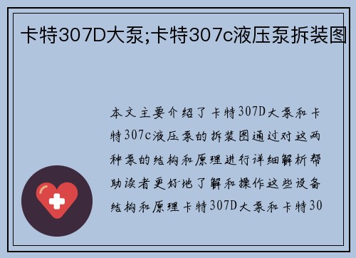 卡特307D大泵;卡特307c液压泵拆装图