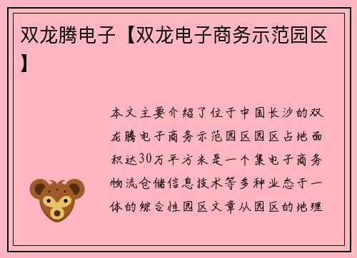 双龙腾电子【双龙电子商务示范园区】