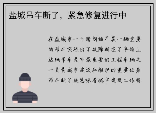 盐城吊车断了，紧急修复进行中